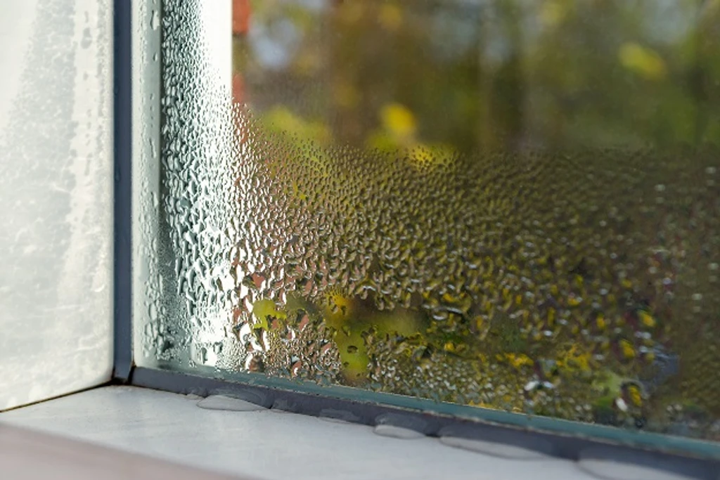Window showing condensation
